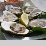 Freshly Shucked Oysters